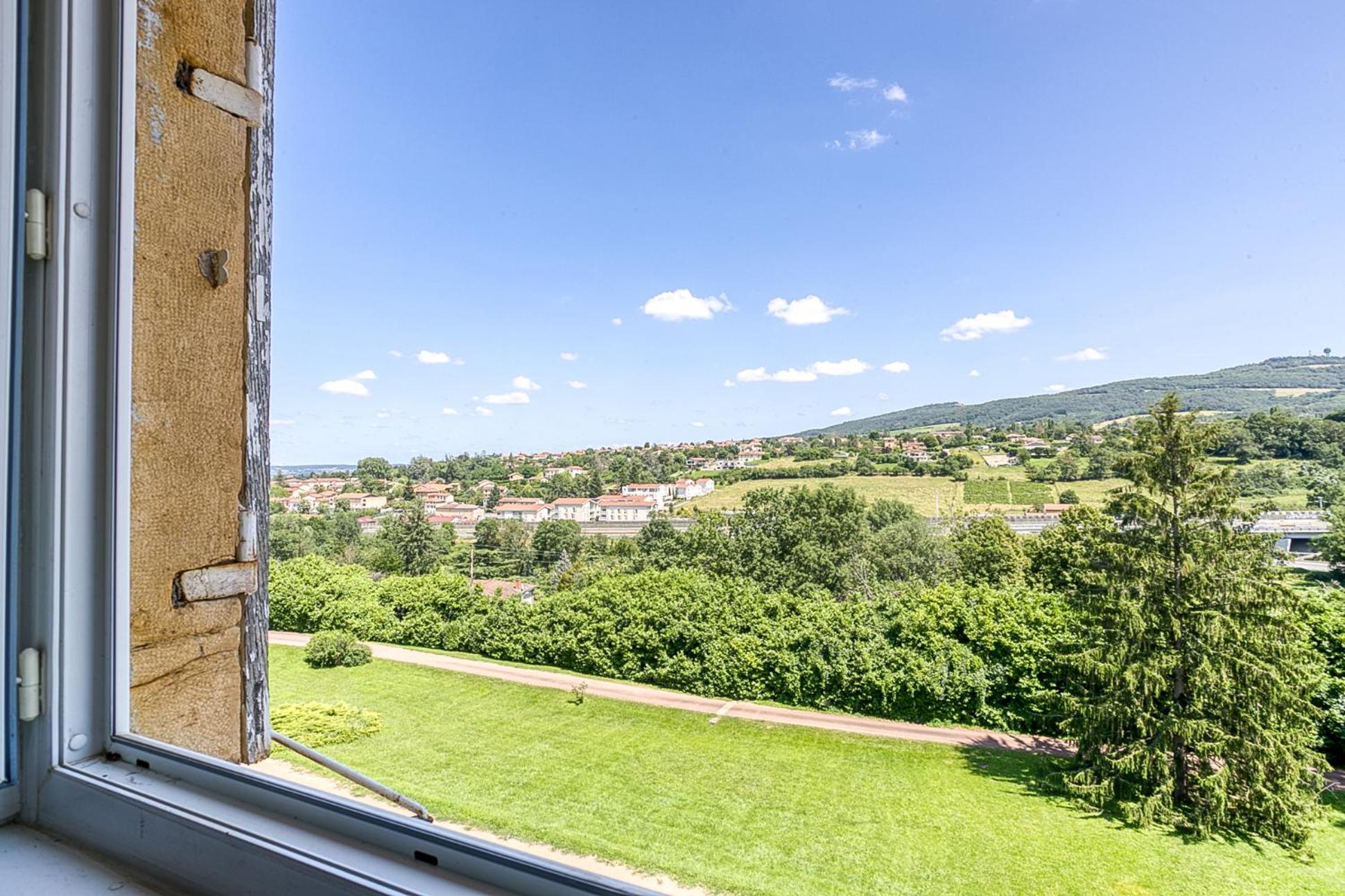 Sejourner Au Chateau De La Roue Grand Appartement Lissieu Ngoại thất bức ảnh