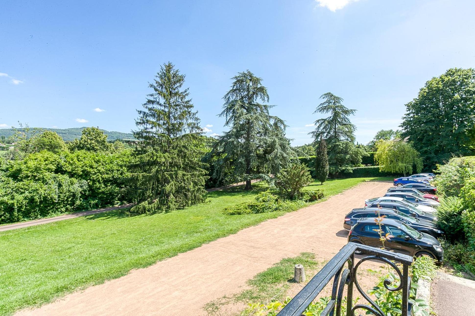 Sejourner Au Chateau De La Roue Grand Appartement Lissieu Ngoại thất bức ảnh