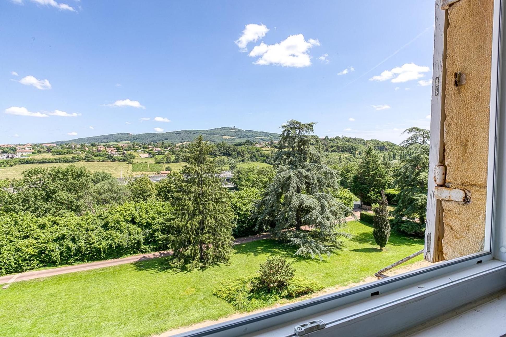 Sejourner Au Chateau De La Roue Grand Appartement Lissieu Ngoại thất bức ảnh