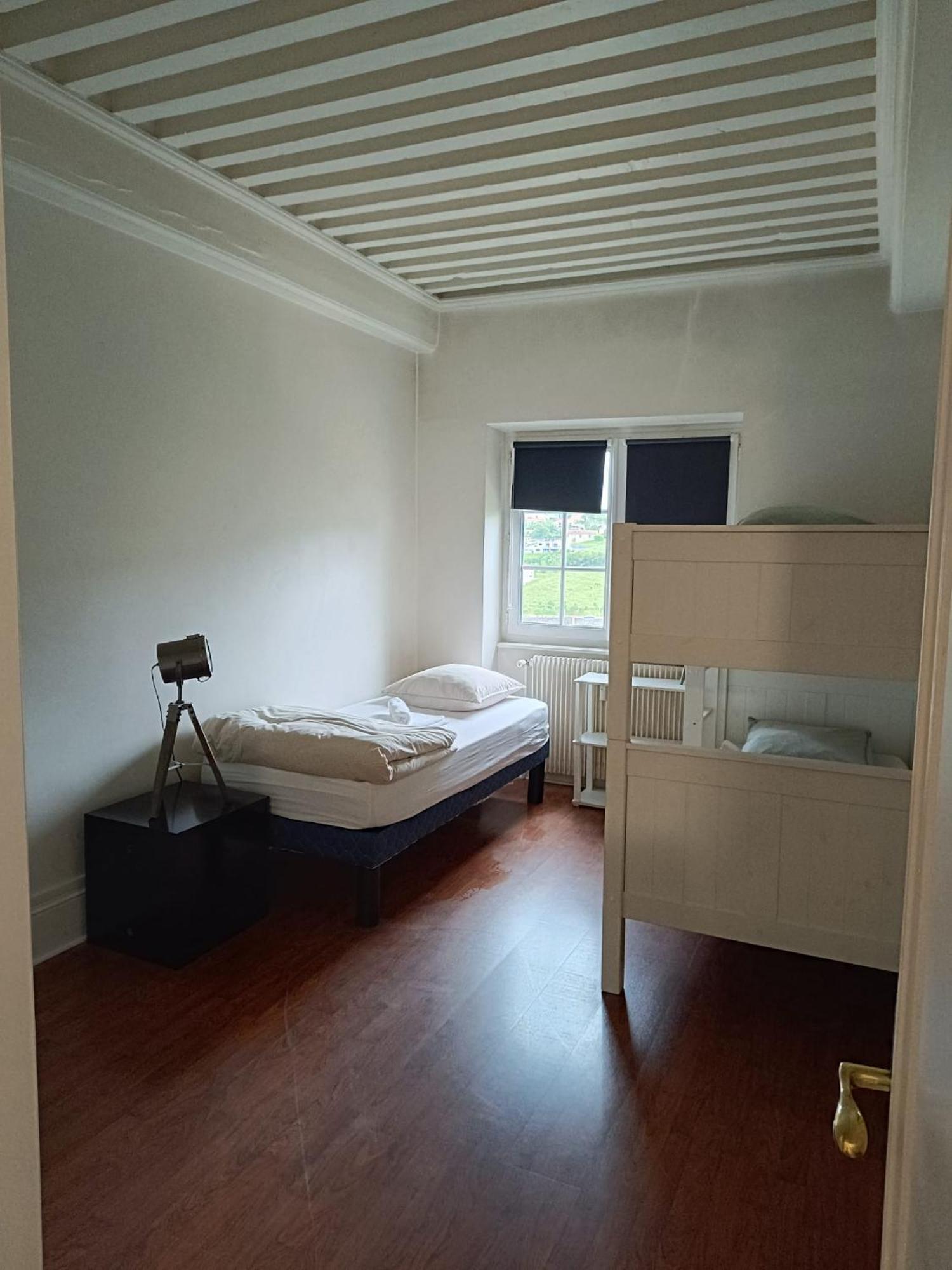 Sejourner Au Chateau De La Roue Grand Appartement Lissieu Ngoại thất bức ảnh